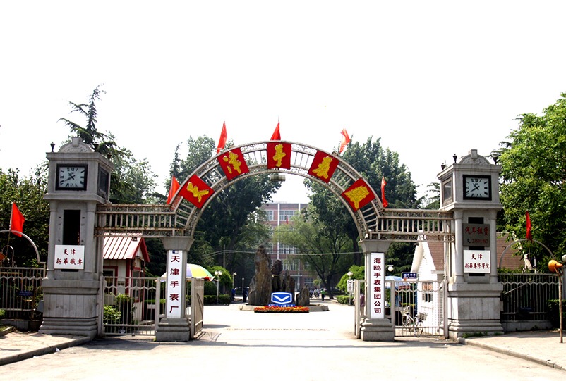 海鸥国产腕表价格表,海鸥腕表什么价格