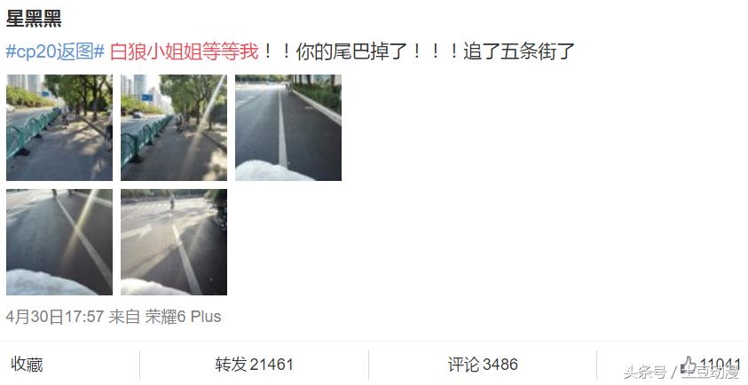 在原神漫展中最受欢迎的cosplay,十大惊艳cosplay漫展