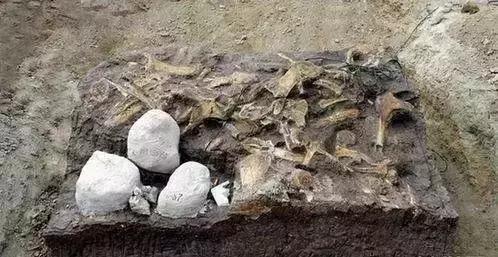 两富二代大量炸毁化石，开枪埋雷不惜破产，竟是为了*论发**文争名利