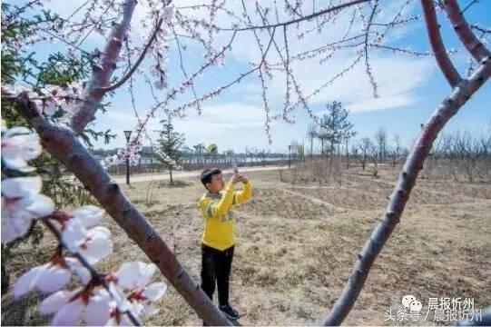 创文明城市特别策划：“我眼中最美春天”随后拍作品7