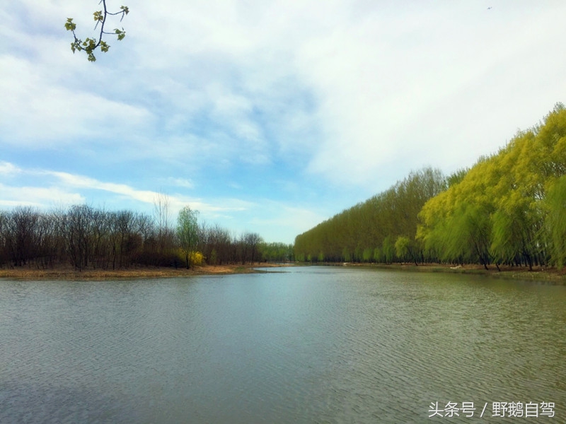 北京深秋露营野滩烧烤推荐,野鹅自驾