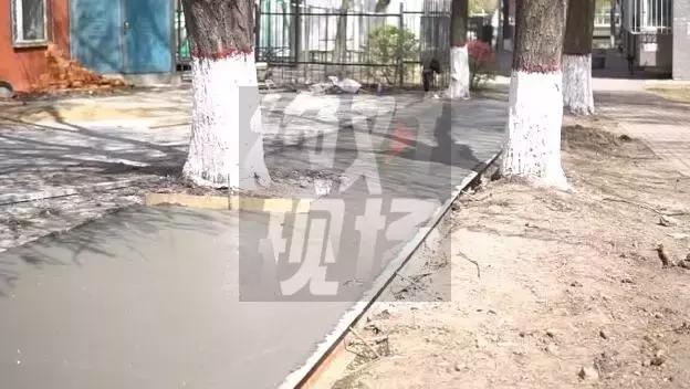 大庆庆丰小学是重点小学吗,大庆庆风小学