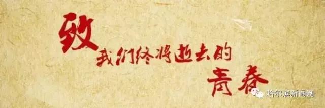 哈尔滨最后的影碟店丨当年去过的,只剩回忆了