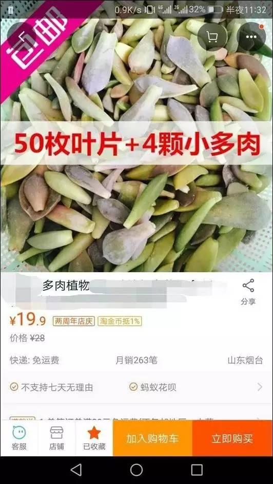 逆天了中国吃货!多肉植物炒肉吃!
