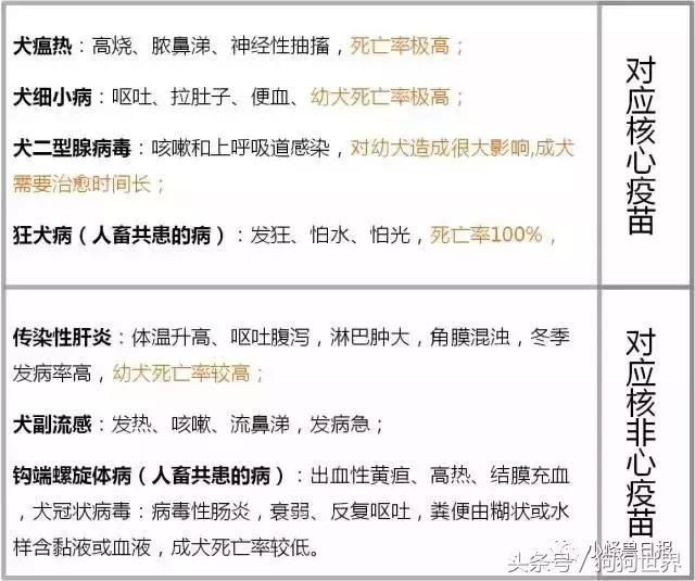 狗狗疫苗打几联比较好,狗狗打疫苗后注意事项