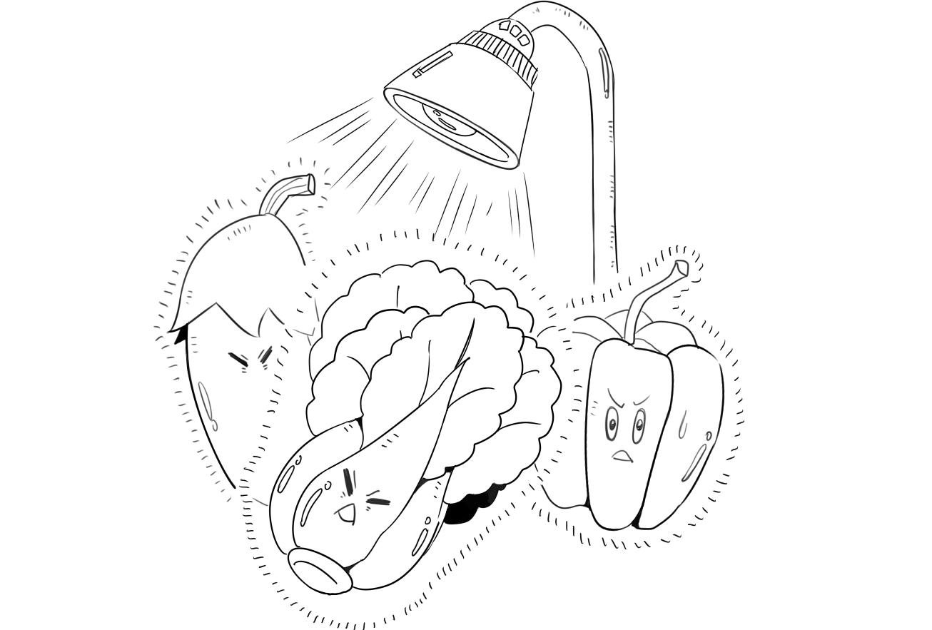便宜又便宜的猫腻,便宜好货有什么套路