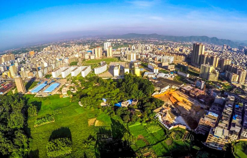 中国桂圆之乡广西博白,博白的桂圆和莆田桂圆谁好