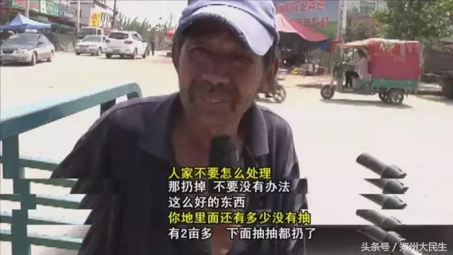 蒜薹5毛钱一斤,蒜薹三十几块钱一斤正常吗