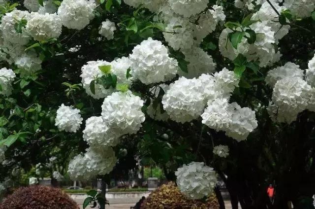 不花一分钱游遍美景,不花一分钱游遍全世界