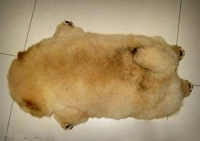 qq空间说说搞笑配图,搞笑qq说说大全带图片