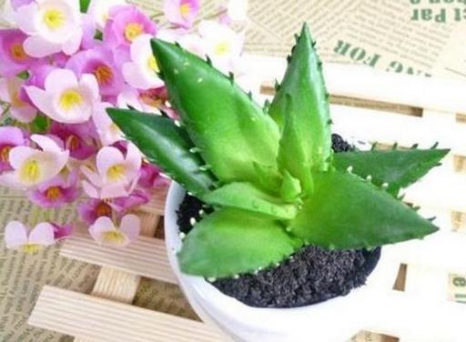 装修完入住怎么除甲醛,装修完除甲醛正确姿势很重要