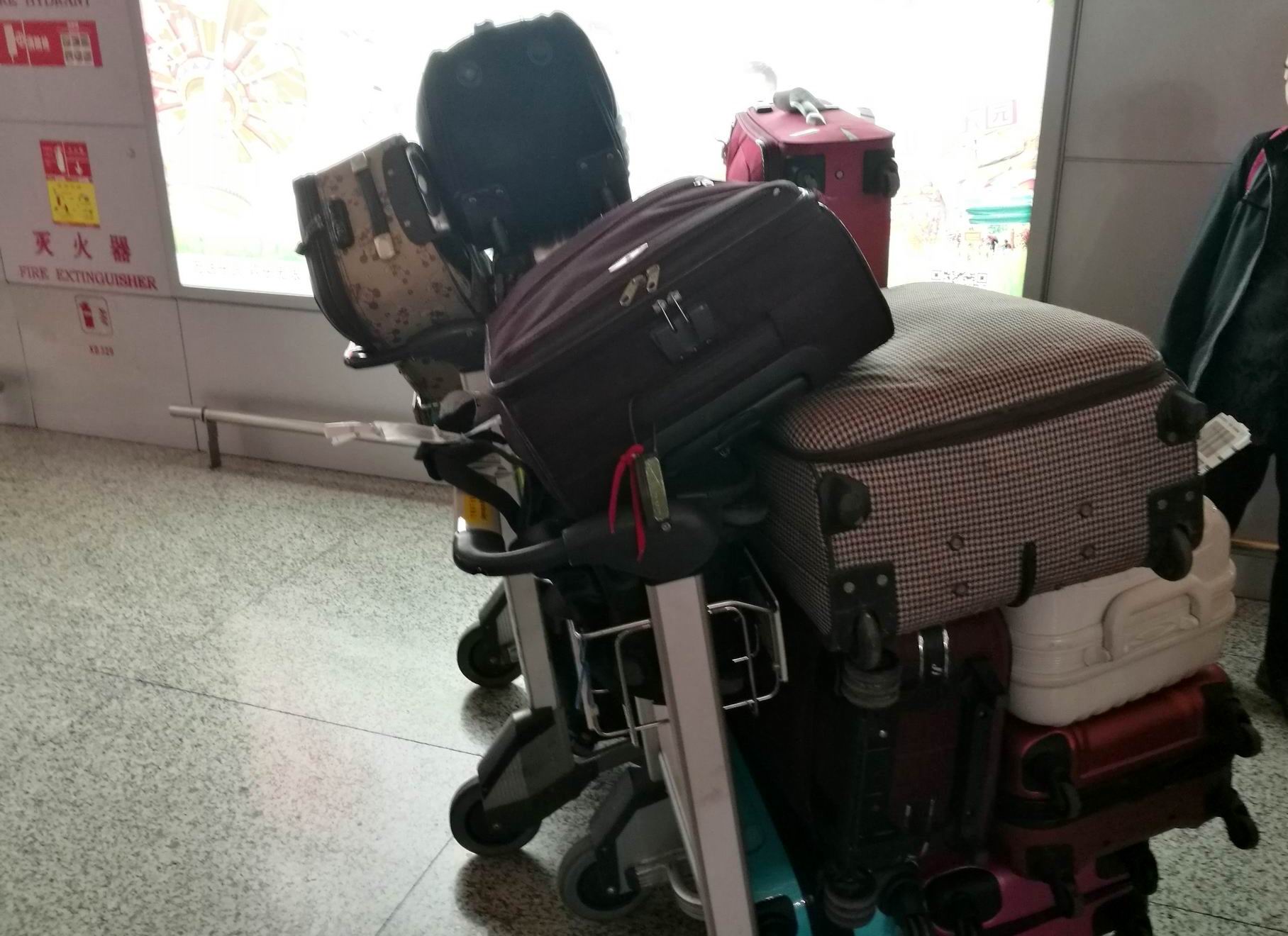 航空公司取消航班改签规则,航班取消改签的成功率