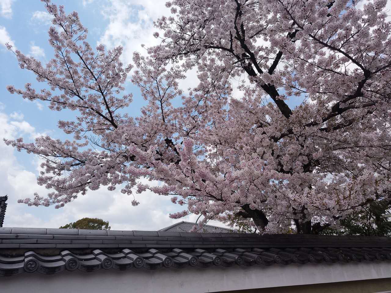 初游日本,日本最值得尊敬的对手