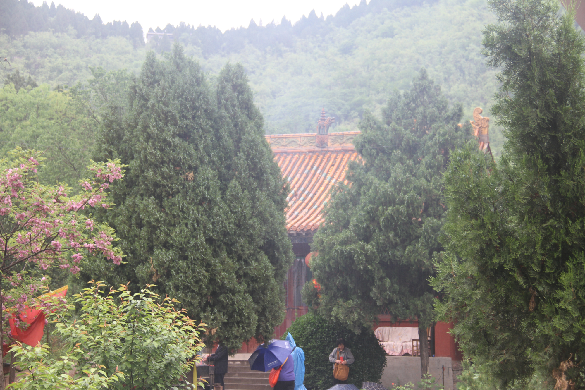 林州去普陀寺旅游团,河南林州太平禅寺