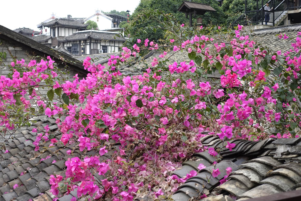 甘坑客家小镇规划,客家甘坑小镇门票