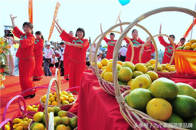 胡晓云,农产品区域公用品牌政策体系