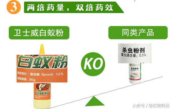 白蚁用什么药能彻底根除,白蚁药最简单配方