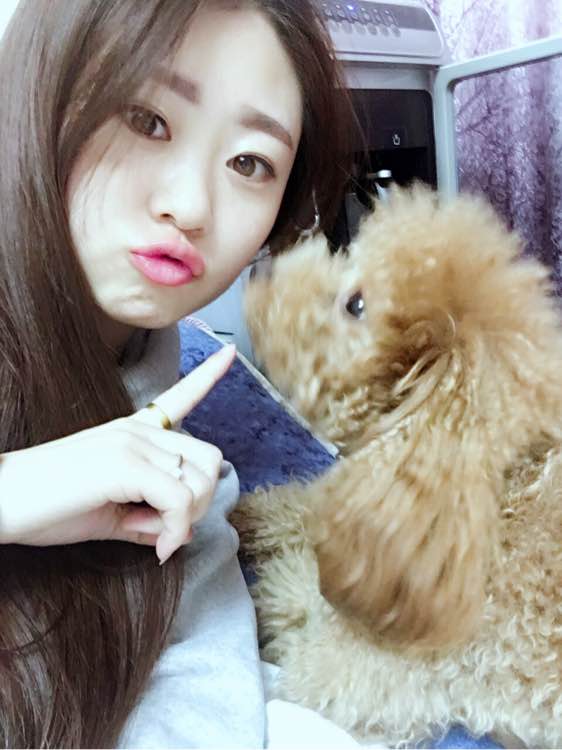 狗狗怀孕40天肚子多大泰迪,怀孕的狗狗生产要多久