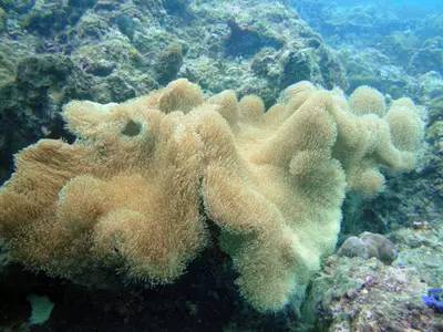 海岛自由行,睡到自然醒海边