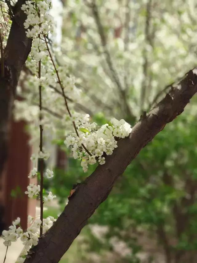 小米路由器6深度评测,小米6电视深度评测