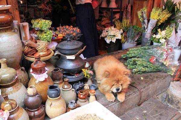 广州三天两晚旅行攻略穷游,7天云南穷游旅游攻略
