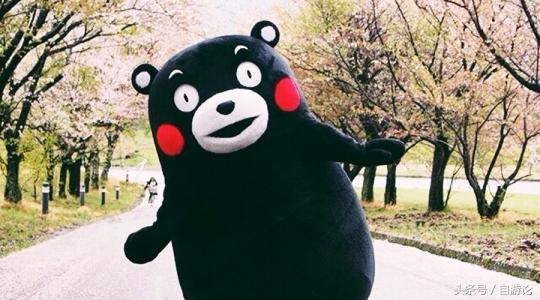 不用签证可以去韩国吗,不用签证能去日本旅游吗