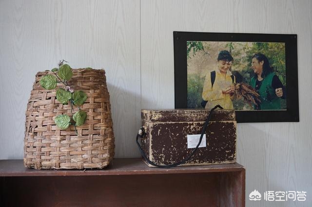 刘老根龙泉山庄景象,刘老根龙泉山庄怎么样