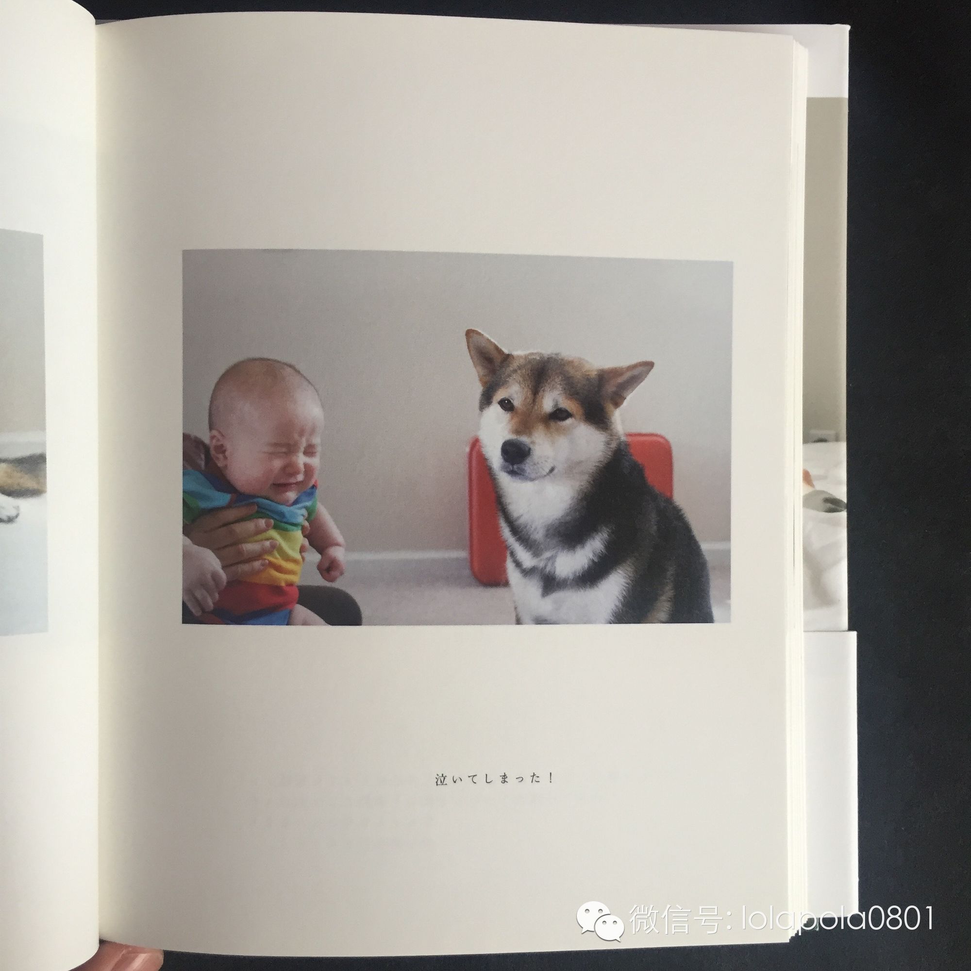 WeeklyFav｜#200125-0214春节假期好物发现推荐