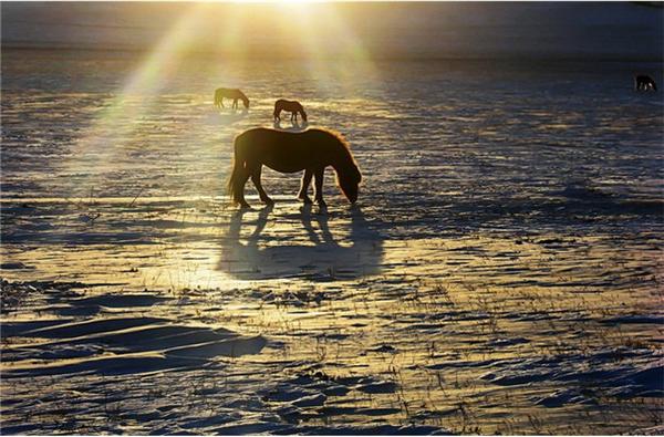 绔崍鑺傛父鐜╁ぉ楣呮箹娌欐哗,绔崍鑺傚ぉ楣呮箹鍥剧墖