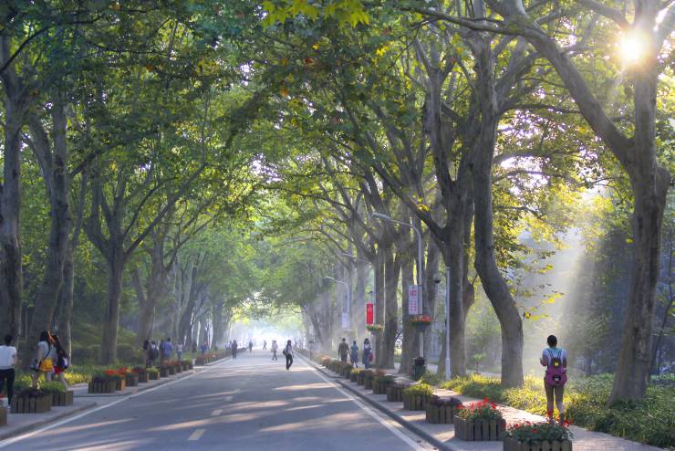 桂子山的夏天，愿你的脚步慢一些