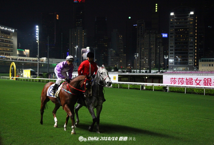 香港跑马地现场直击赛马