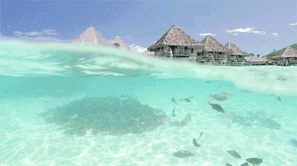 五一想好去哪里玩儿了吗,五一想好去哪里旅游了吗