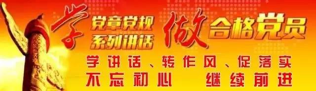 以过硬作风打造硬核组工干部,过硬组工干部队伍