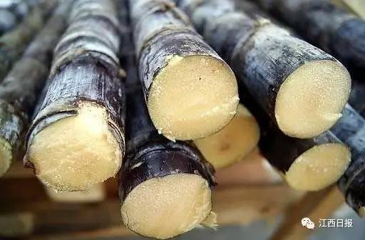 吃螃蟹小心食物中毒,吃螃蟹全身红肿