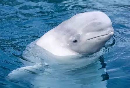 春天带你一起去看最美的风景,一起找寻早春最美风景