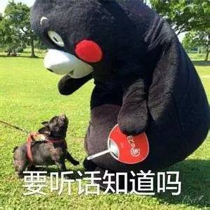 厦门跑网约车应注意哪些违章,厦门网约车新规公布