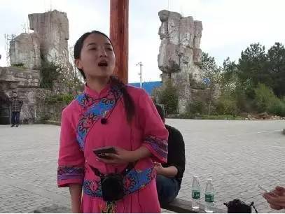 散文花开,散文花开花落