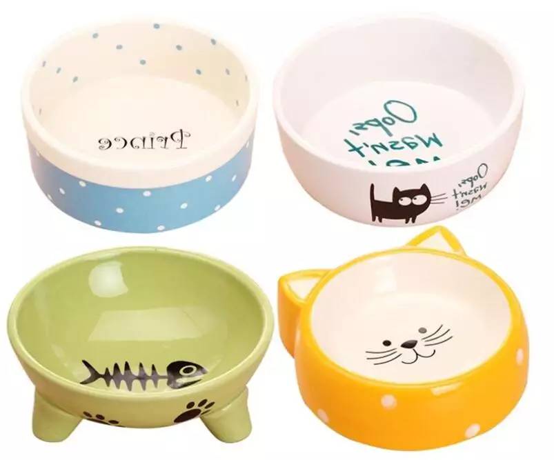 给狗喂饭要喂多少,给狗刷牙的知识