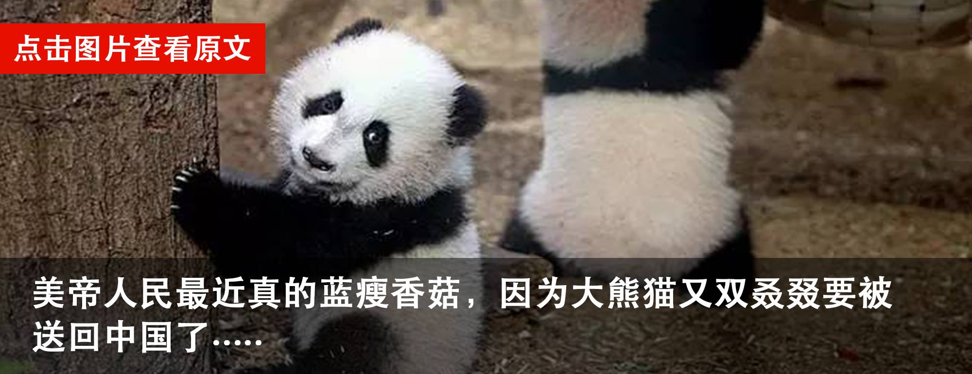 提高英语口语最有效的app免费,如何提升英语口语app