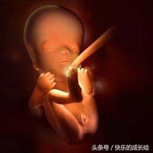 怀孕第11周胎儿发育情况,妈妈怀孕十个月变化