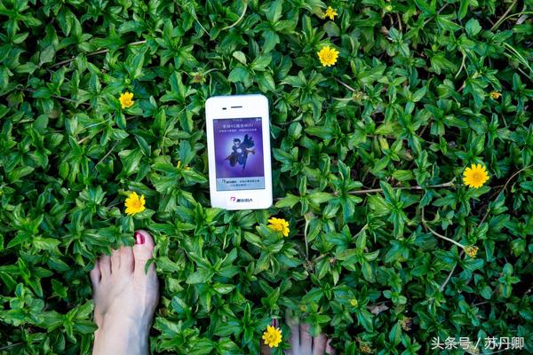 马尔代夫和芽庄哪个好玩,一个人的马尔代夫