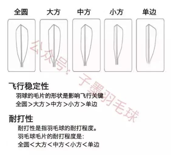 羽毛球全套技术,入门羽毛球必备装备