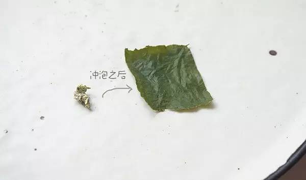 清肠道排宿便最好的茶配方 (减肥便秘最有效的茶)