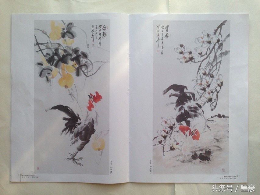 写意公鸡嘴的画法,公鸡母鸡小鸡国画图片