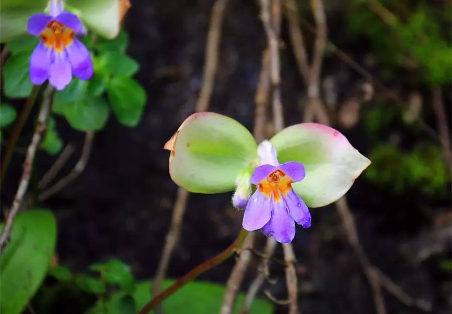 元宝山下,山水云间,悠悠闲云时光,恰好那时我也在