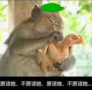 盘点送奇葩礼物,盘点奇葩人送的奇葩礼物