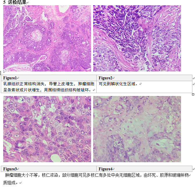 猫乳腺肿瘤治疗方法,猫乳腺肿块怎么治疗