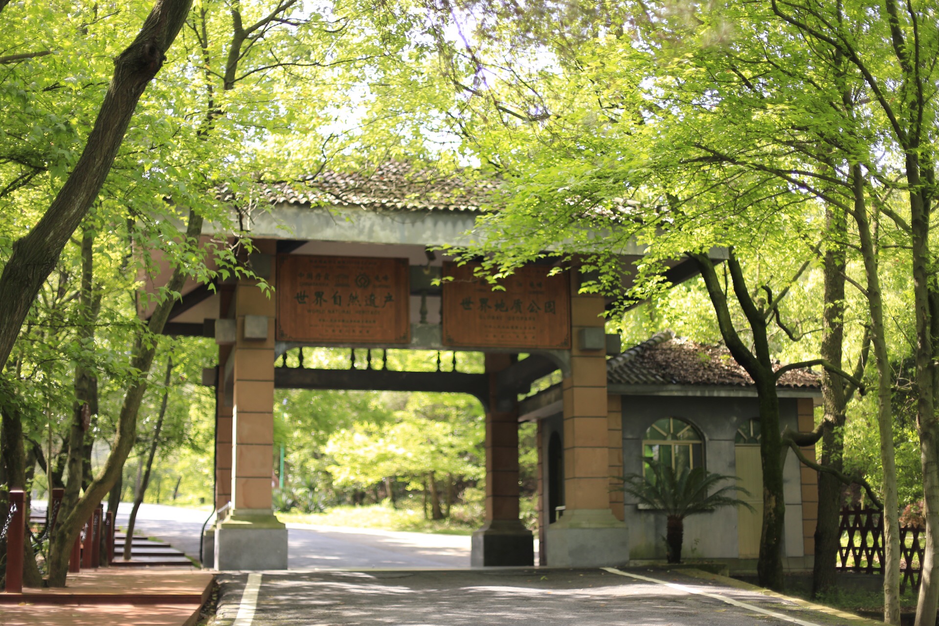 龟峰，创世之神为什么把乌龟的形象封存在这里