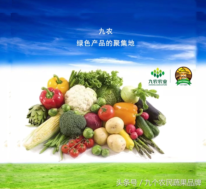 胡晓云,农产品区域公用品牌政策体系