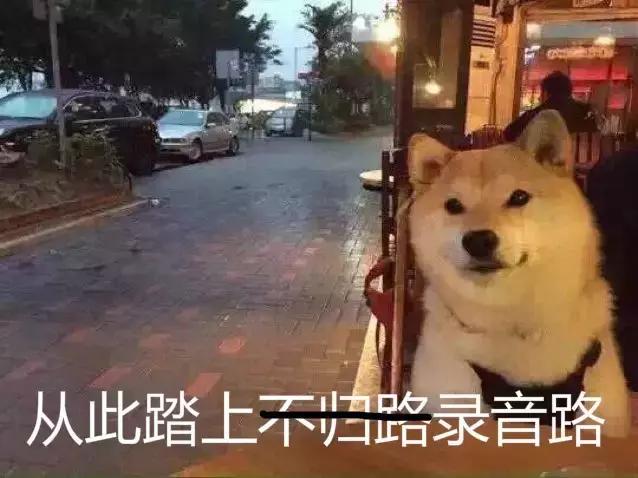 一琴一录音｜天一掌门居然也是录音狗！